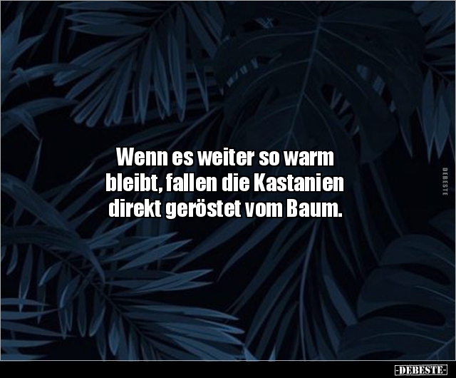 Wenn es weiter so warm bleibt, fallen die Kastanien.. - Lustige Bilder | DEBESTE.de