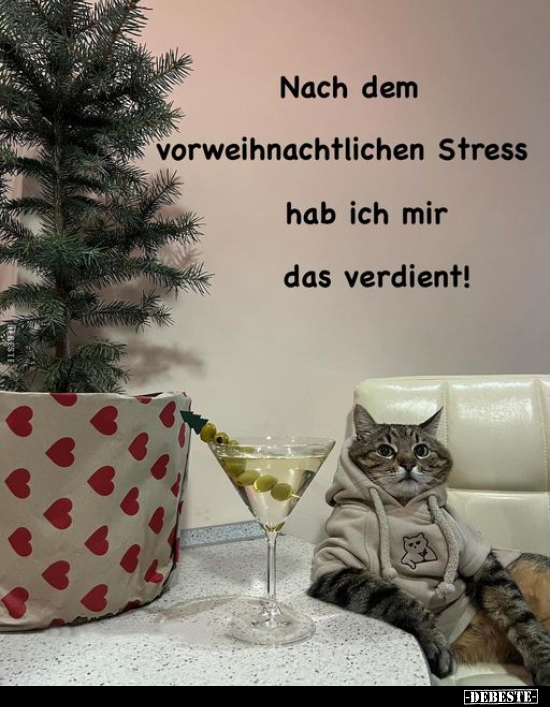 Nach dem vorweihnachtlichen Stress hab ich mir.. - Lustige Bilder | DEBESTE.de