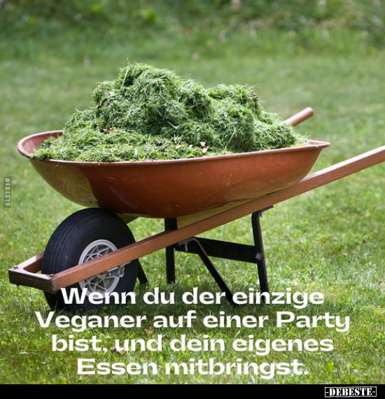 Wenn du der einzige Veganer auf einer Party bist.. - Lustige Bilder | DEBESTE.de