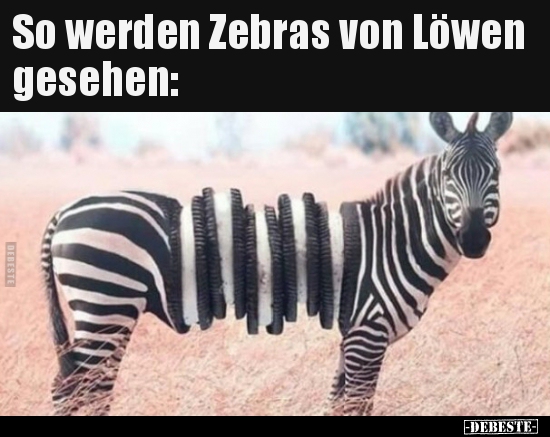 So werden Zebras von Löwen gesehen.. - Lustige Bilder | DEBESTE.de