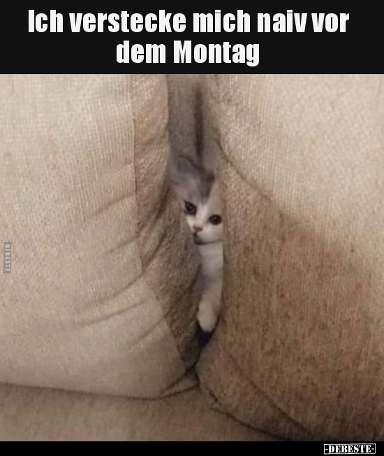 Ich verstecke mich naiv vor dem Montag.. - Lustige Bilder | DEBESTE.de