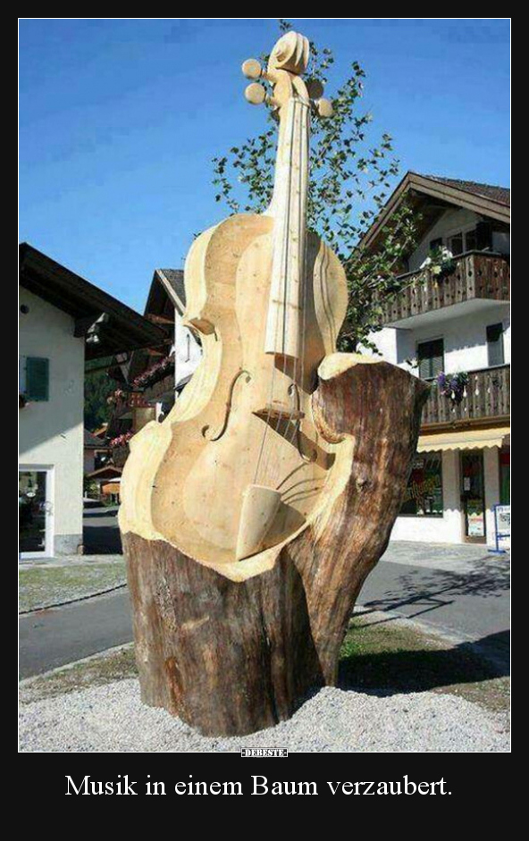Musik in einem Baum verzaubert... - Lustige Bilder | DEBESTE.de