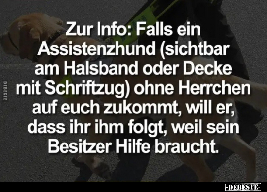 Zur Info: Falls ein Assistenzhund (sichtbar am Halsband.. - Lustige Bilder | DEBESTE.de