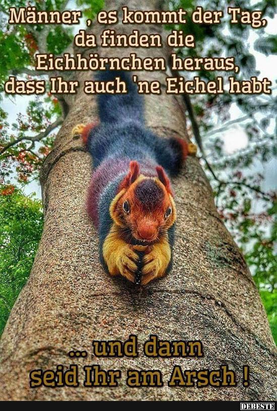 Männer, es kommt der Tag da finden die Eichhörnchen heraus.. - Lustige Bilder | DEBESTE.de