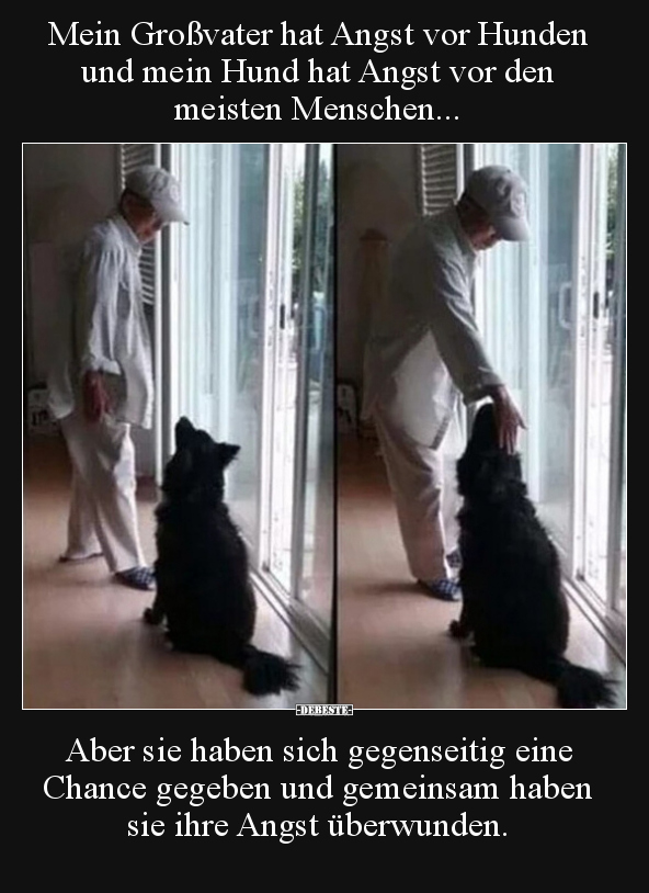 Mein Großvater hat Angst vor Hunden und mein Hund hat Angst.. - Lustige Bilder | DEBESTE.de
