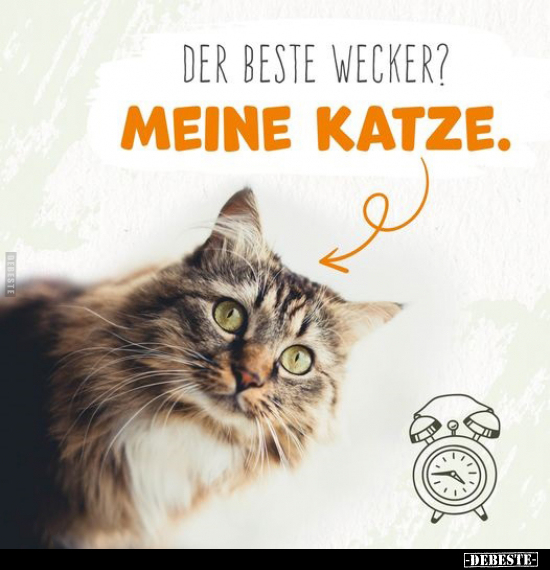 Der beste Wecker?.. - Lustige Bilder | DEBESTE.de