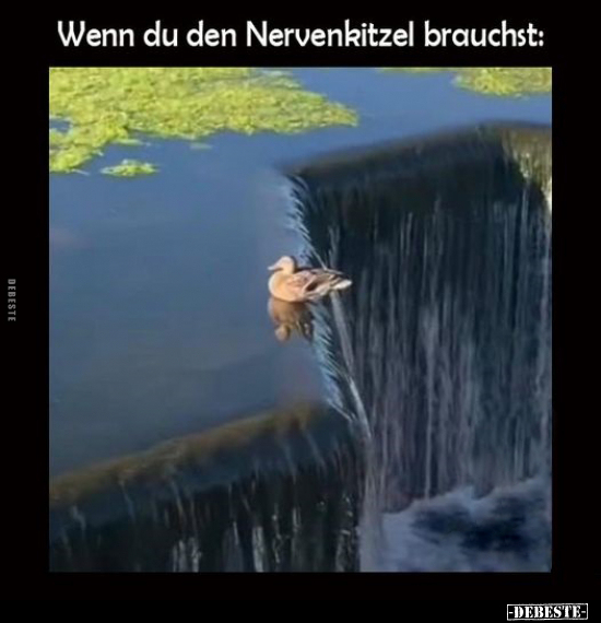 Wenn du den Nervenkitzel brauchst.. - Lustige Bilder | DEBESTE.de