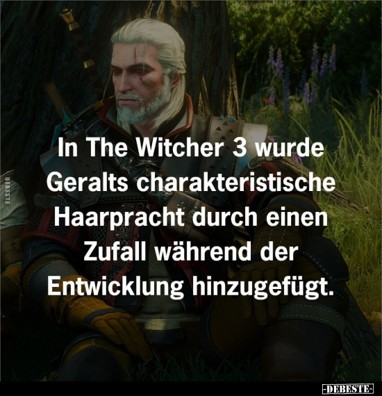 In The Witcher 3 wurde Geralts charakteristische Haarpracht.. - Lustige Bilder | DEBESTE.de