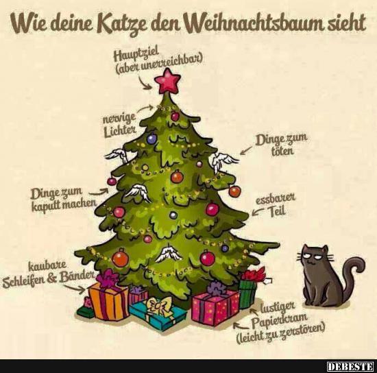 Wie deine Katze den Weihnachtsbaum sieht..