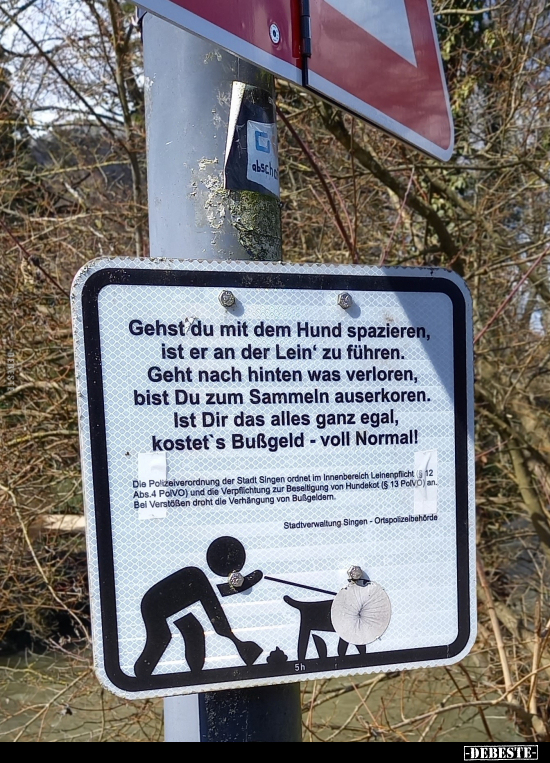 Gehst du mit dem Hund spazieren, ist er an der Lein zu.. - Lustige Bilder | DEBESTE.de