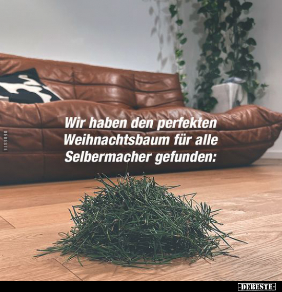 Wir haben den perfekten Weihnachtsbaum.. - Lustige Bilder | DEBESTE.de