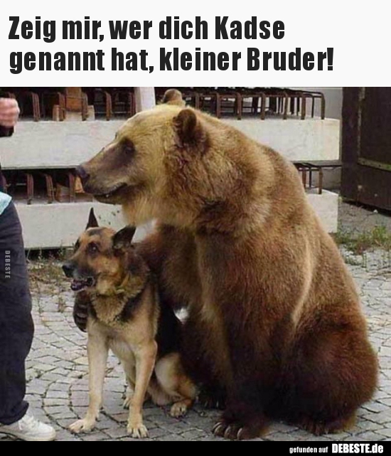 
Zeig mir, wer dich Kadse 
genannt hat, kleiner Bruder!
 - Lustige Bilder | DEBESTE.de