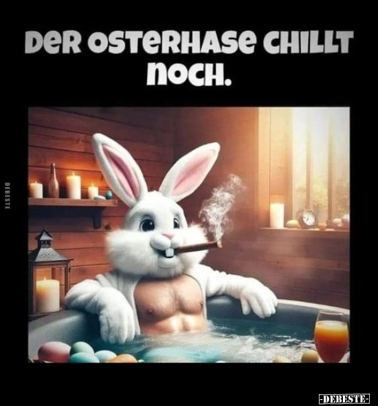 Der Osterhase chillt noch... - Lustige Bilder | DEBESTE.de
