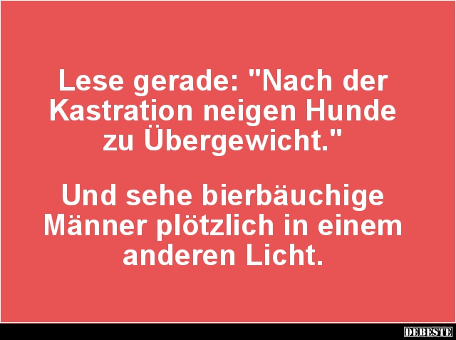 Lese gerade: 'Nach der Kastration neigen Hunde'.. - Lustige Bilder | DEBESTE.de