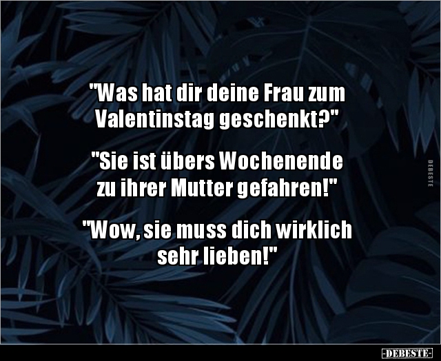 "Was hat dir deine Frau zum Valentinstag.." - Lustige Bilder | DEBESTE.de