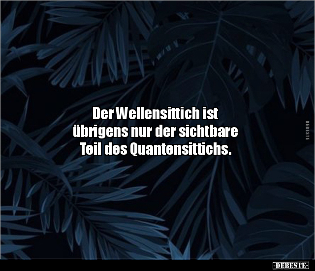 Der Wellensittich ist übrigens nur der sichtbare Teil des.. - Lustige Bilder | DEBESTE.de