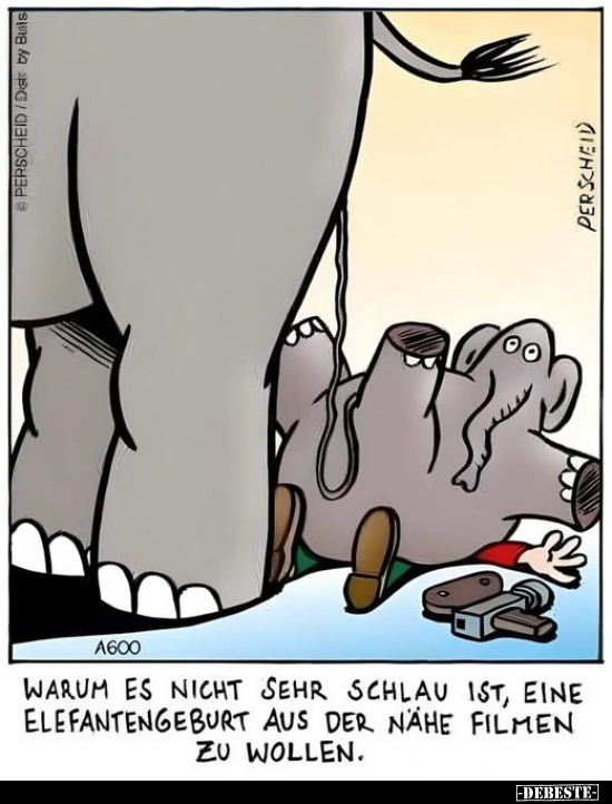 Warum es nicht sehr schlau ist, eine Elefantengeburt aus.. - Lustige Bilder | DEBESTE.de