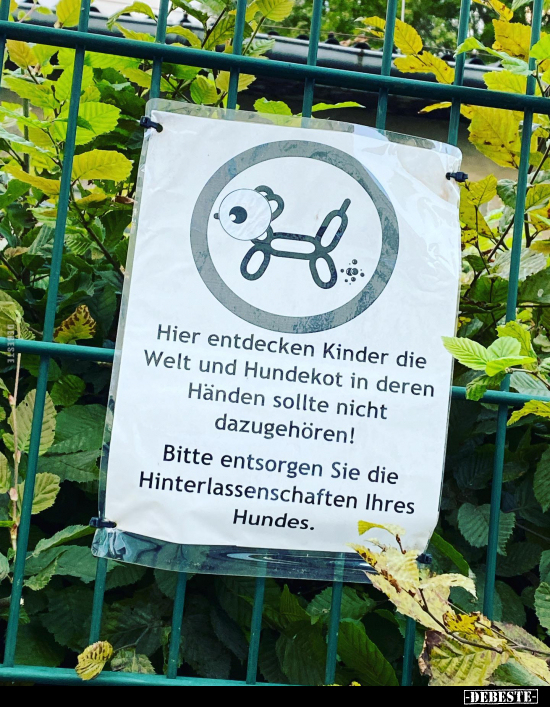 Hier entdecken Kinder die Welt und Hundekot in deren Händen.. - Lustige Bilder | DEBESTE.de