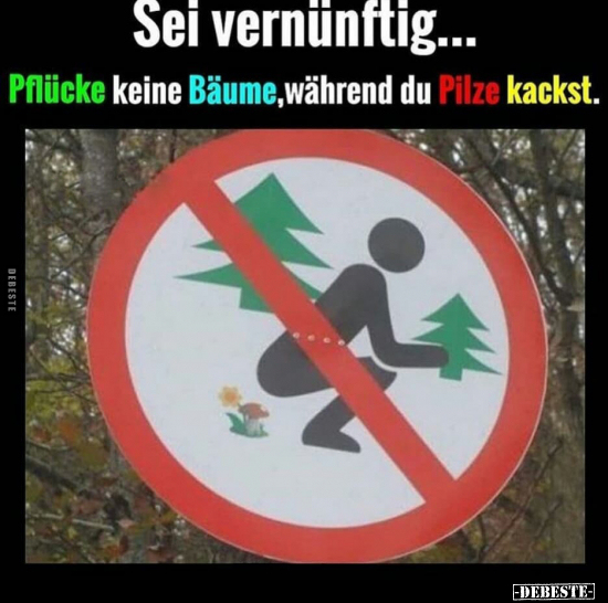 Sei vernünftig! Pflücke bitte keine Bäume während du Pilze.. - Lustige Bilder | DEBESTE.de