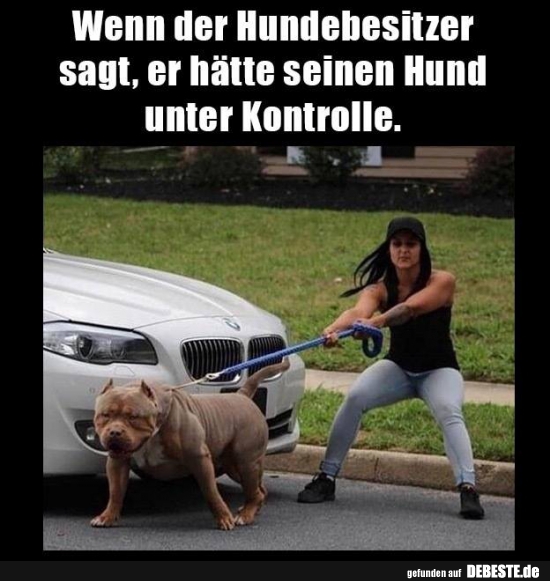 Wenn der Hundebesitzer sagt, er hätte seinen Hund unter Kontrolle. - Lustige Bilder | DEBESTE.de