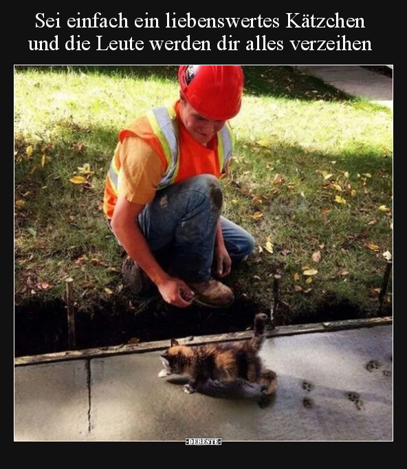 Sei einfach ein liebenswertes Kätzchen und die Leute werden.. - Lustige Bilder | DEBESTE.de