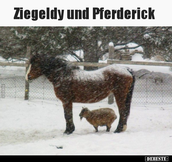 Ziegeldy und Pferderick.. - Lustige Bilder | DEBESTE.de