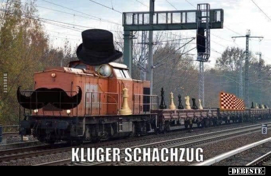 Kluger Schachzug.. - Lustige Bilder | DEBESTE.de