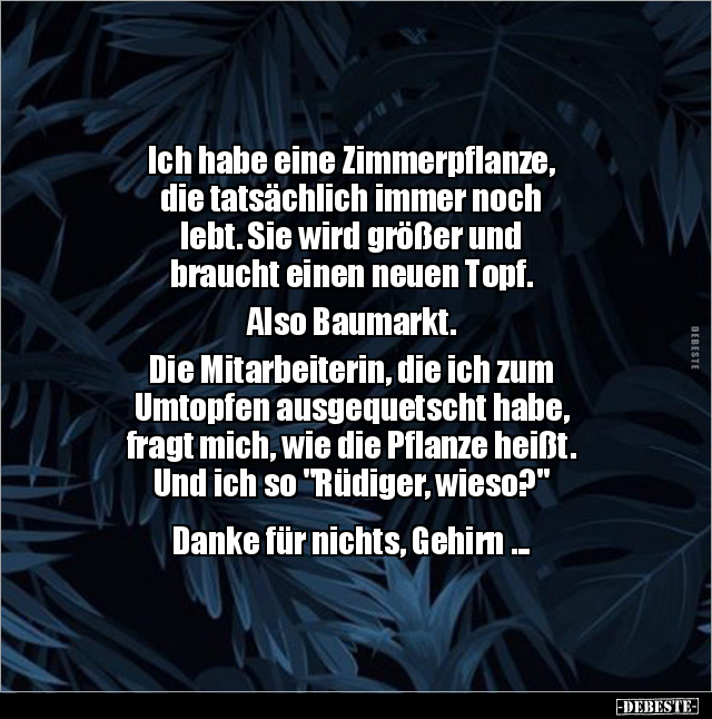 Ich habe eine Zimmerpflanze, die tatsächlich immer noch.. - Lustige Bilder | DEBESTE.de