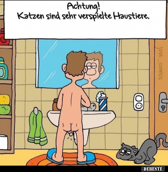 Achtung! Katzen sind sehr verspielte Haustiere... - Lustige Bilder | DEBESTE.de