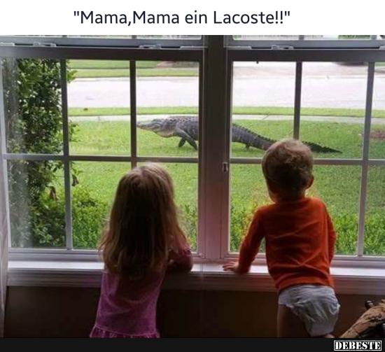 Mama, Mama ein Lacoste! - Lustige Bilder | DEBESTE.de