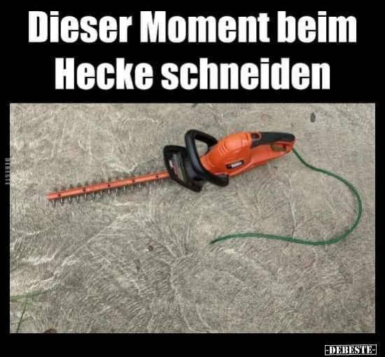 Dieser Moment heim Hecke schneiden.. - Lustige Bilder | DEBESTE.de
