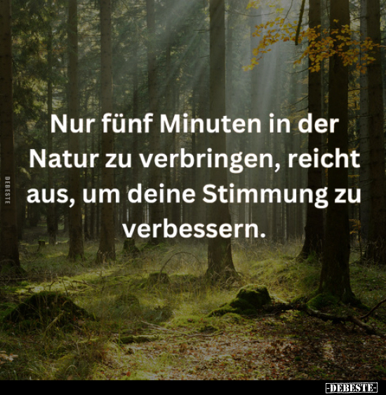 Nur fünf Minuten in der Natur zu verbringen.. - Lustige Bilder | DEBESTE.de