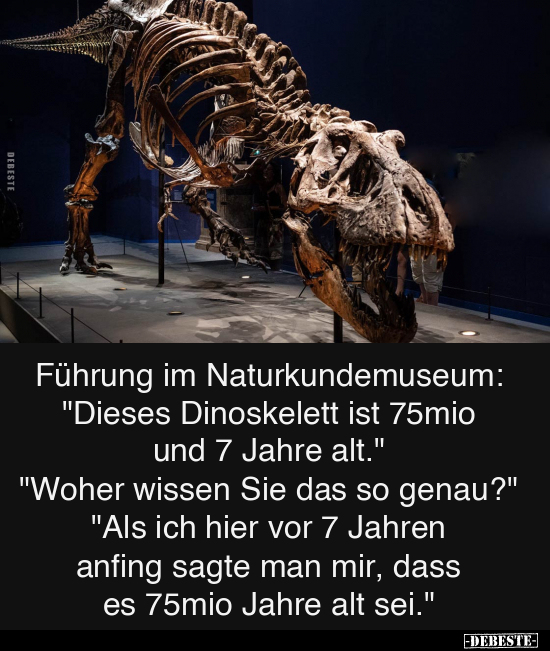 Führung im Naturkundemuseum.. - Lustige Bilder | DEBESTE.de