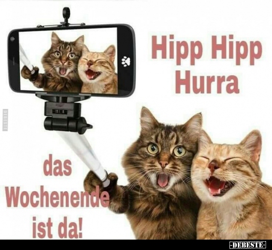 Hipp Hipp Hurra -  das Wochenende ist da! - Lustige Bilder | DEBESTE.de