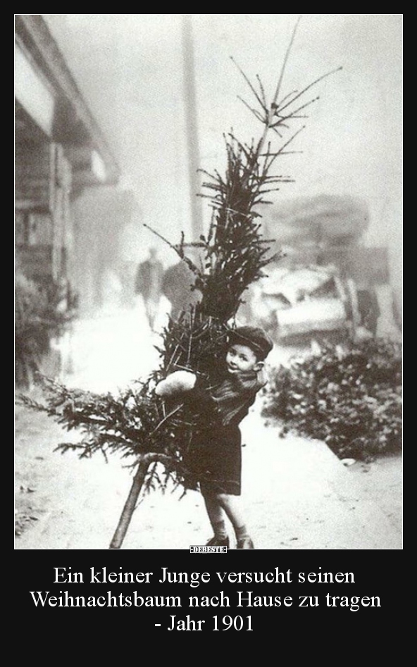Ein kleiner Junge versucht seinen Weihnachtsbaum nach.. - Lustige Bilder | DEBESTE.de