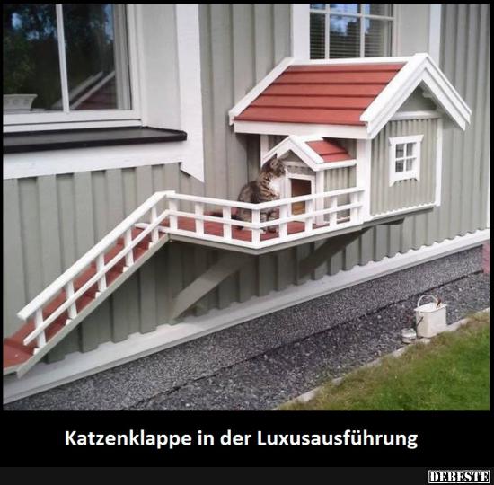 Katzenklappe in der Luxusausführung :) - Lustige Bilder | DEBESTE.de