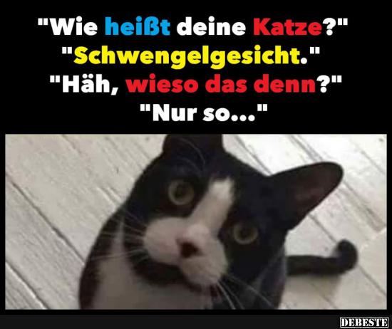 Wie heißt deine Katze? - Lustige Bilder | DEBESTE.de