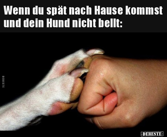 Wenn du spät nach Hause kommst und dein Hund nicht.. - Lustige Bilder | DEBESTE.de