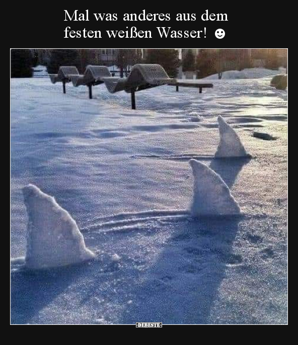 Mal was anderes aus dem festen weißen Wasser! ☻.. - Lustige Bilder | DEBESTE.de