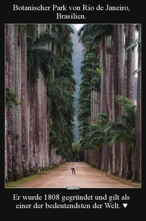 Botanischer Park von Rio de Janeiro, Brasilien. - Lustige Bilder | DEBESTE.de