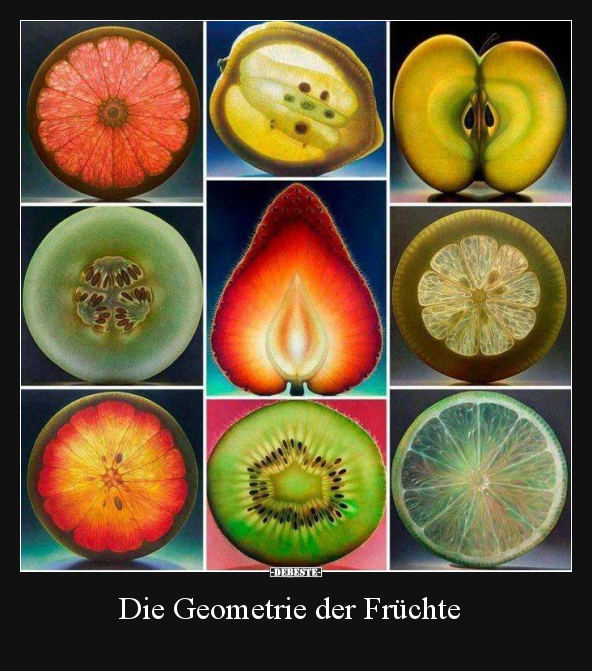 Die Geometrie der Früchte.. - Lustige Bilder | DEBESTE.de