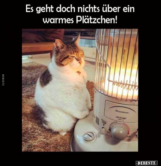 Es geht doch nichts über ein warmes Plätzchen!.. - Lustige Bilder | DEBESTE.de
