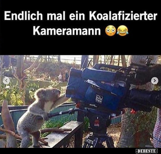 Endlich mal ein Koalafizierter Kameramann☺.. - Lustige Bilder | DEBESTE.de