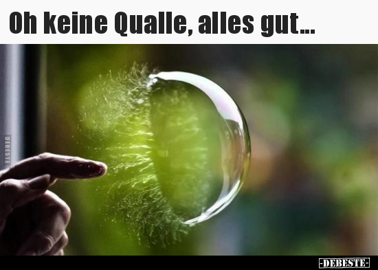 Oh keine Qualle, alles gut... - Lustige Bilder | DEBESTE.de