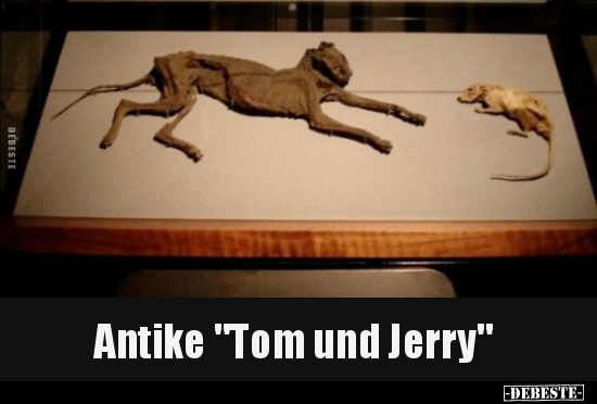 Antike "Tom und Jerry".. - Lustige Bilder | DEBESTE.de