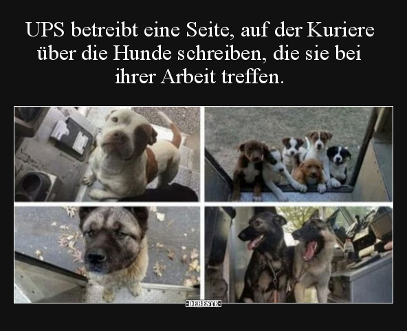 UPS betreibt eine Seite, auf der Kuriere über die Hunde.. - Lustige Bilder | DEBESTE.de