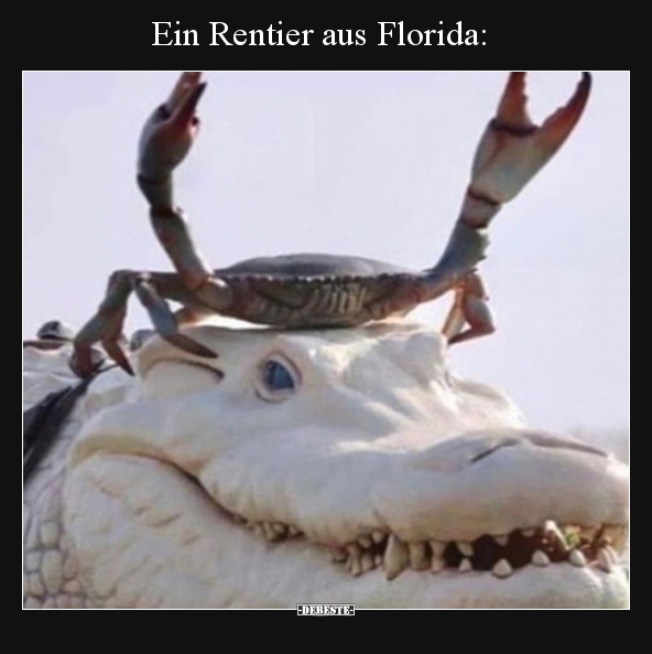 Ein Rentier aus Florida.. - Lustige Bilder | DEBESTE.de