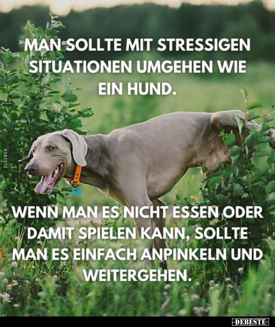 Man sollte mit stressigen Situationen umgehen.. - Lustige Bilder | DEBESTE.de