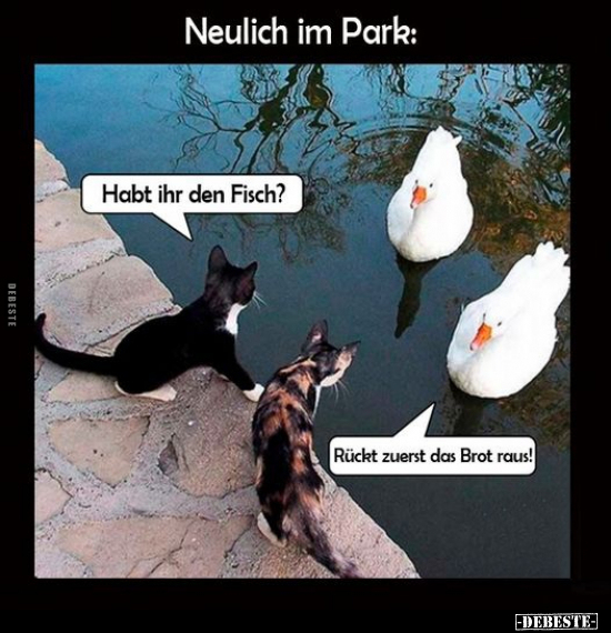 Neulich im Park.. - Lustige Bilder | DEBESTE.de
