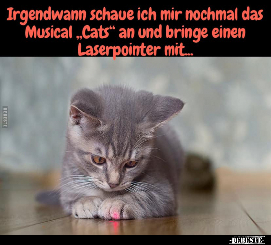 Irgendwann schaue ich mir nochmal das Musical "Cats" an und.. - Lustige Bilder | DEBESTE.de